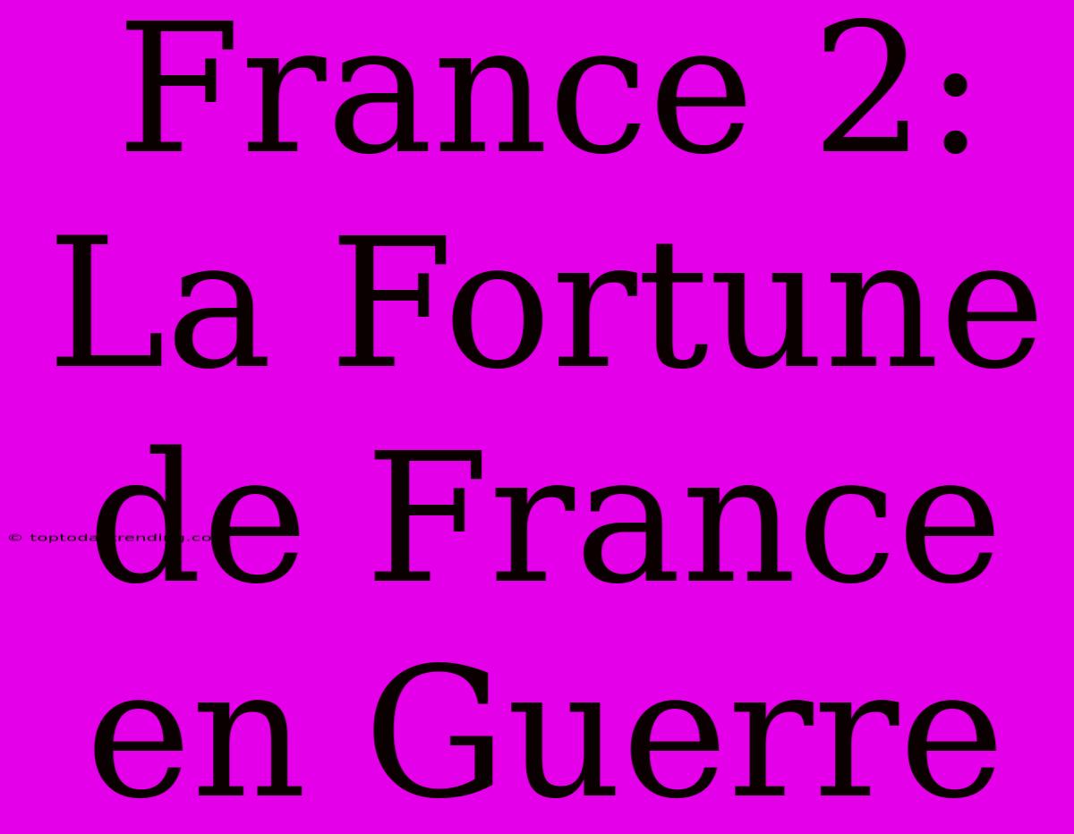 France 2: La Fortune De France En Guerre