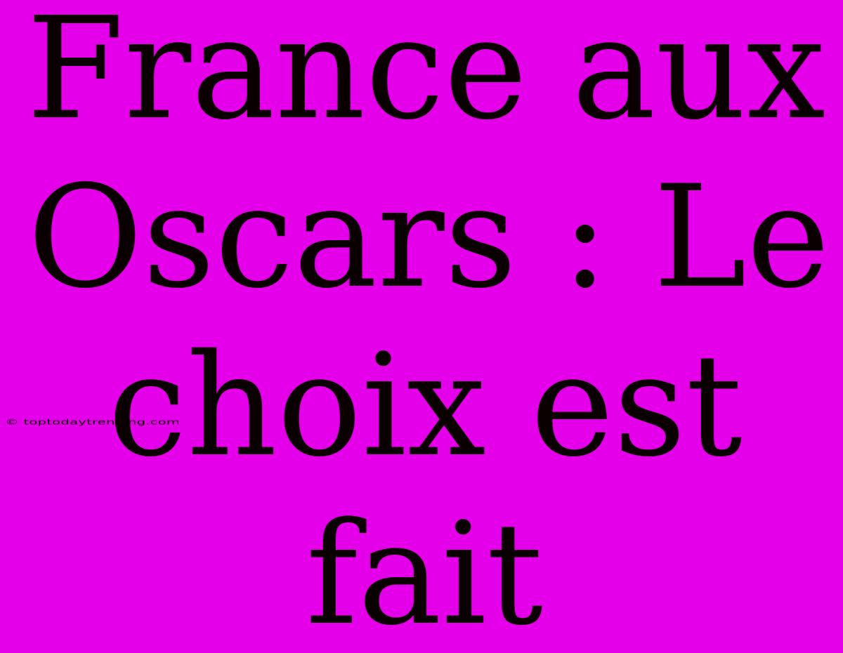 France Aux Oscars : Le Choix Est Fait