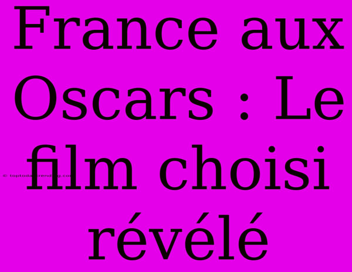 France Aux Oscars : Le Film Choisi Révélé