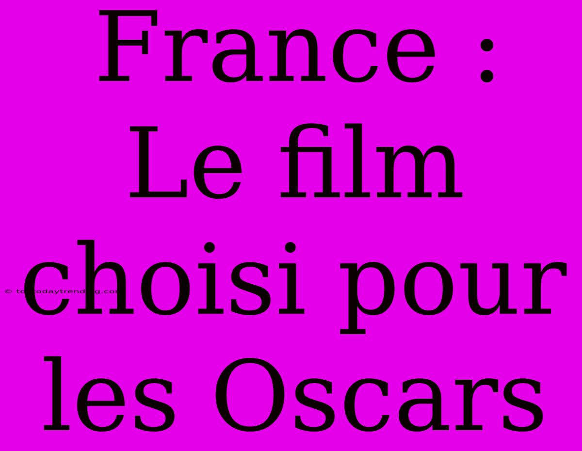 France : Le Film Choisi Pour Les Oscars