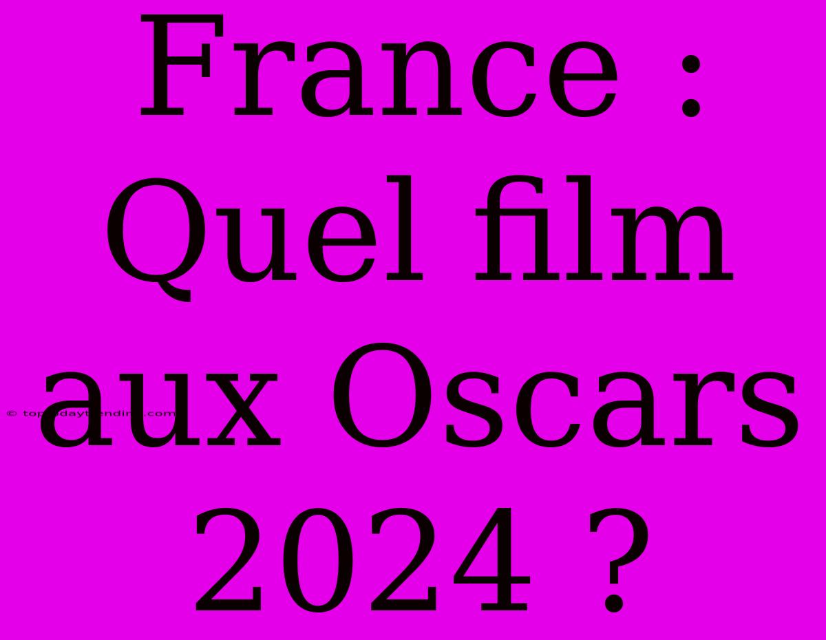 France : Quel Film Aux Oscars 2024 ?