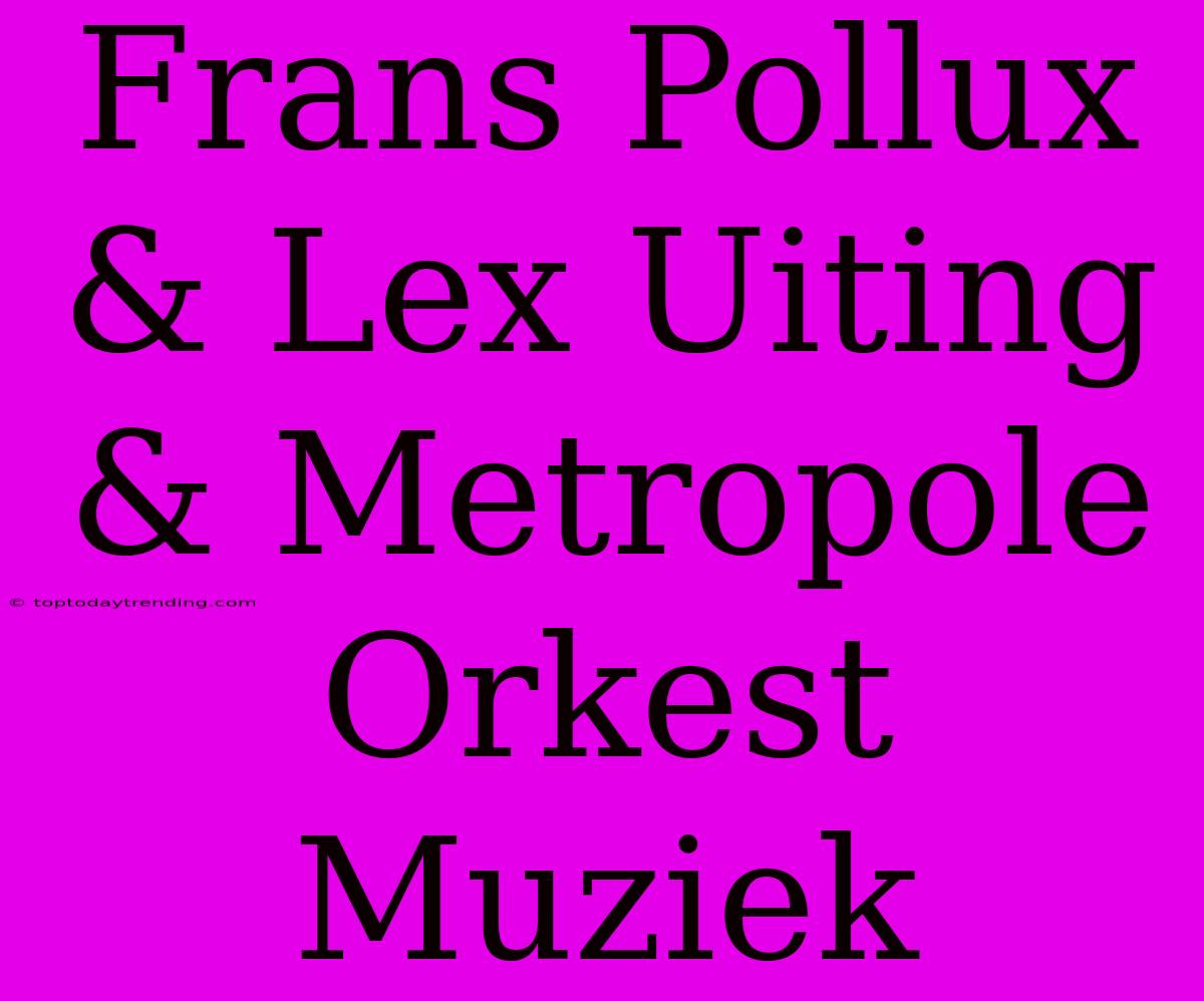 Frans Pollux & Lex Uiting & Metropole Orkest Muziek