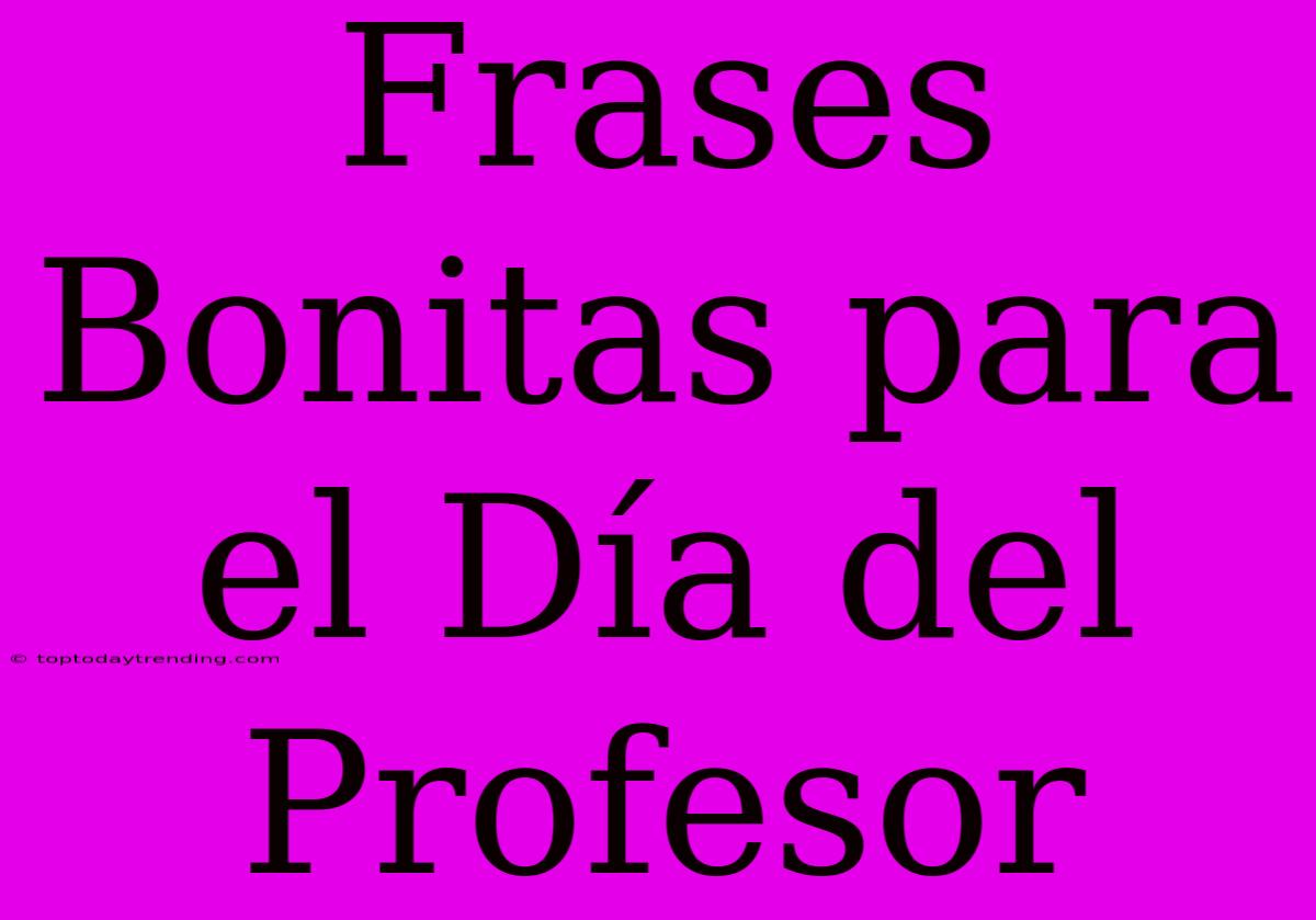 Frases Bonitas Para El Día Del Profesor