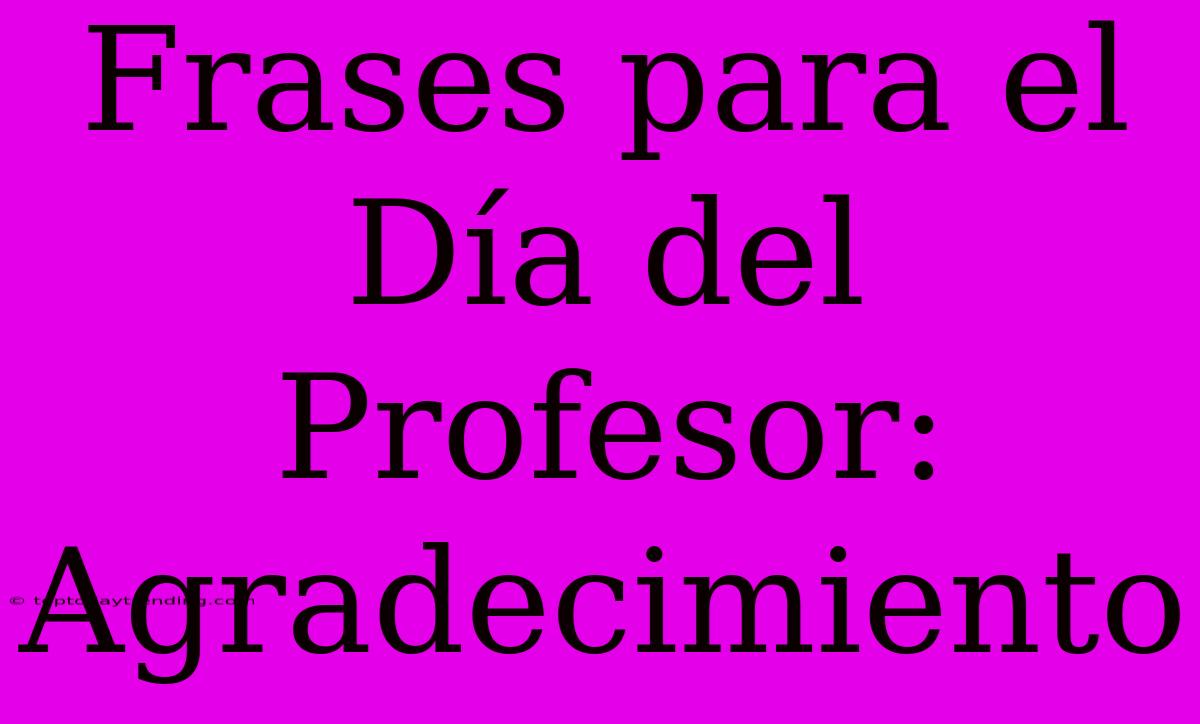 Frases Para El Día Del Profesor: Agradecimiento