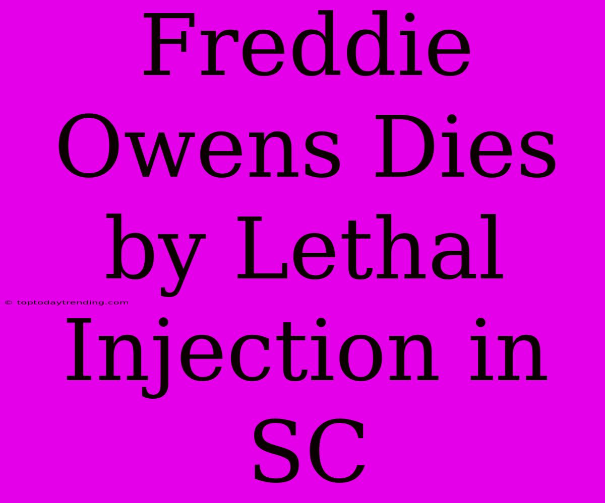 Freddie Owens Dies By Lethal Injection In SC