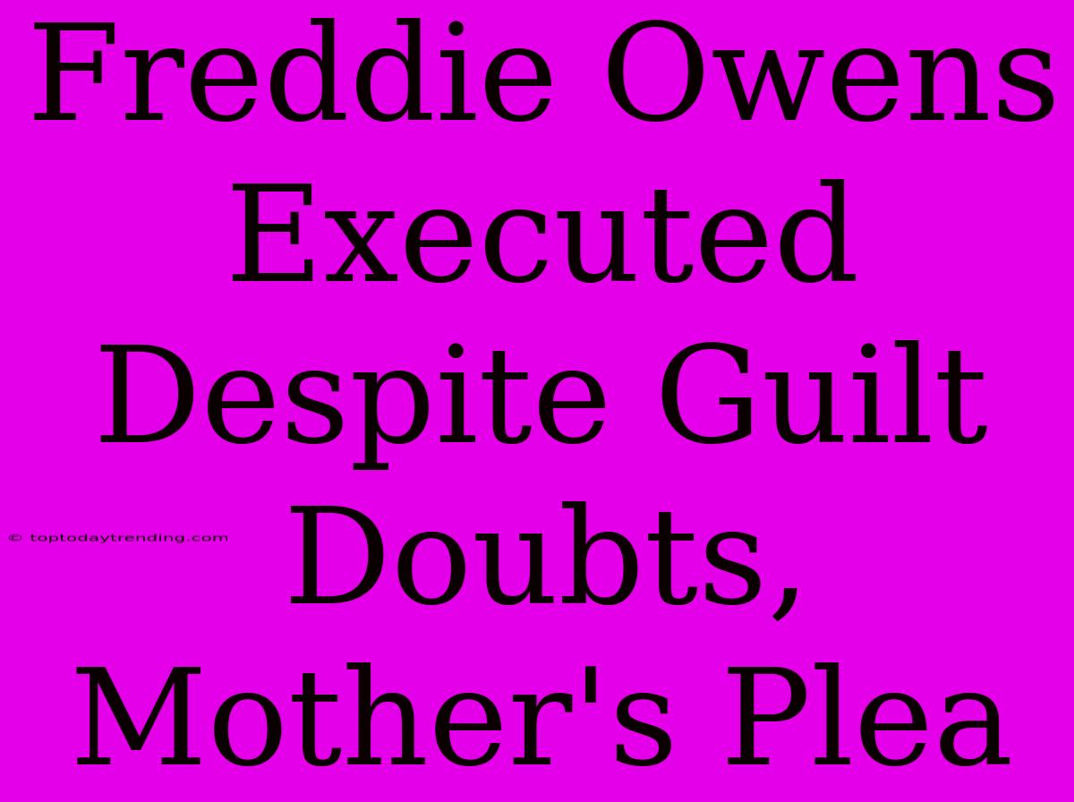 Freddie Owens Executed Despite Guilt Doubts, Mother's Plea