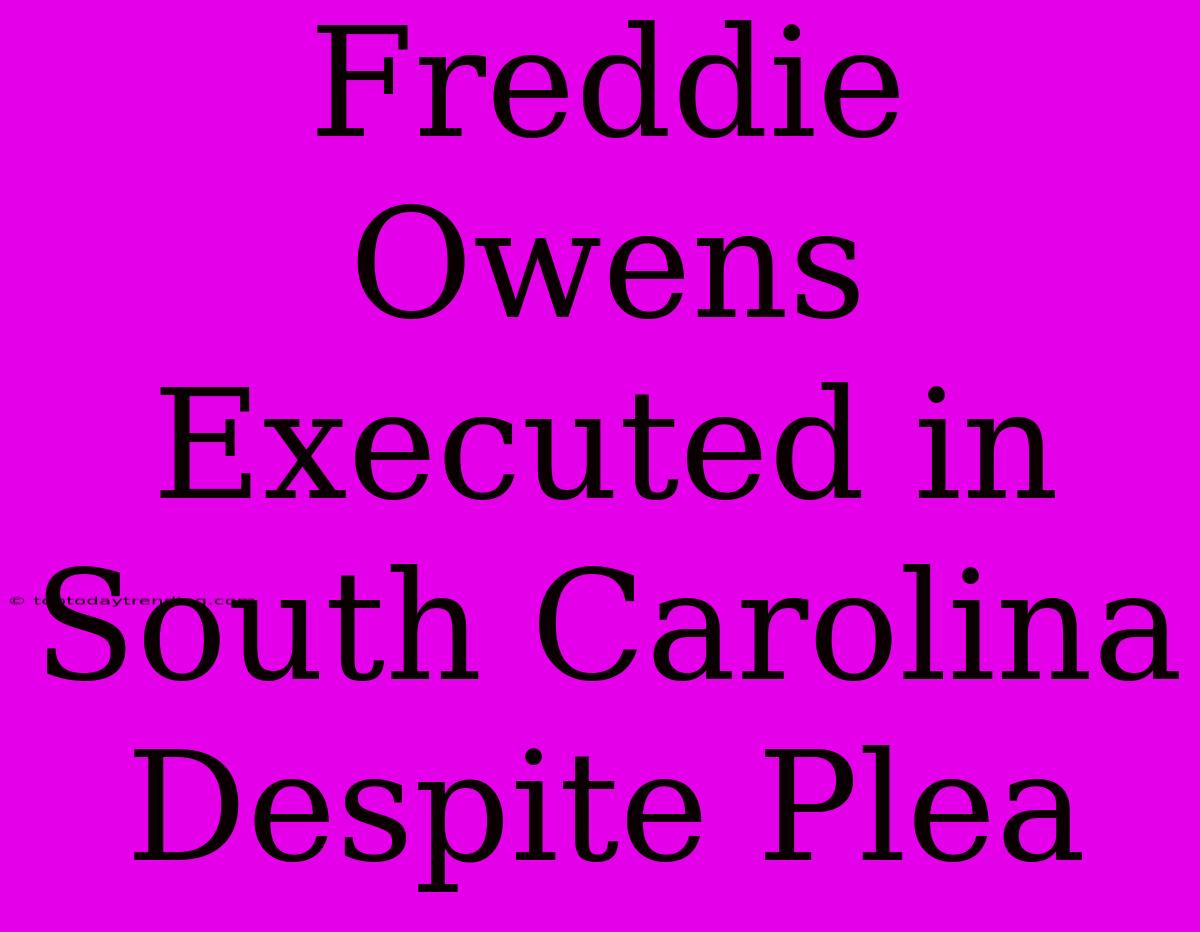 Freddie Owens Executed In South Carolina Despite Plea