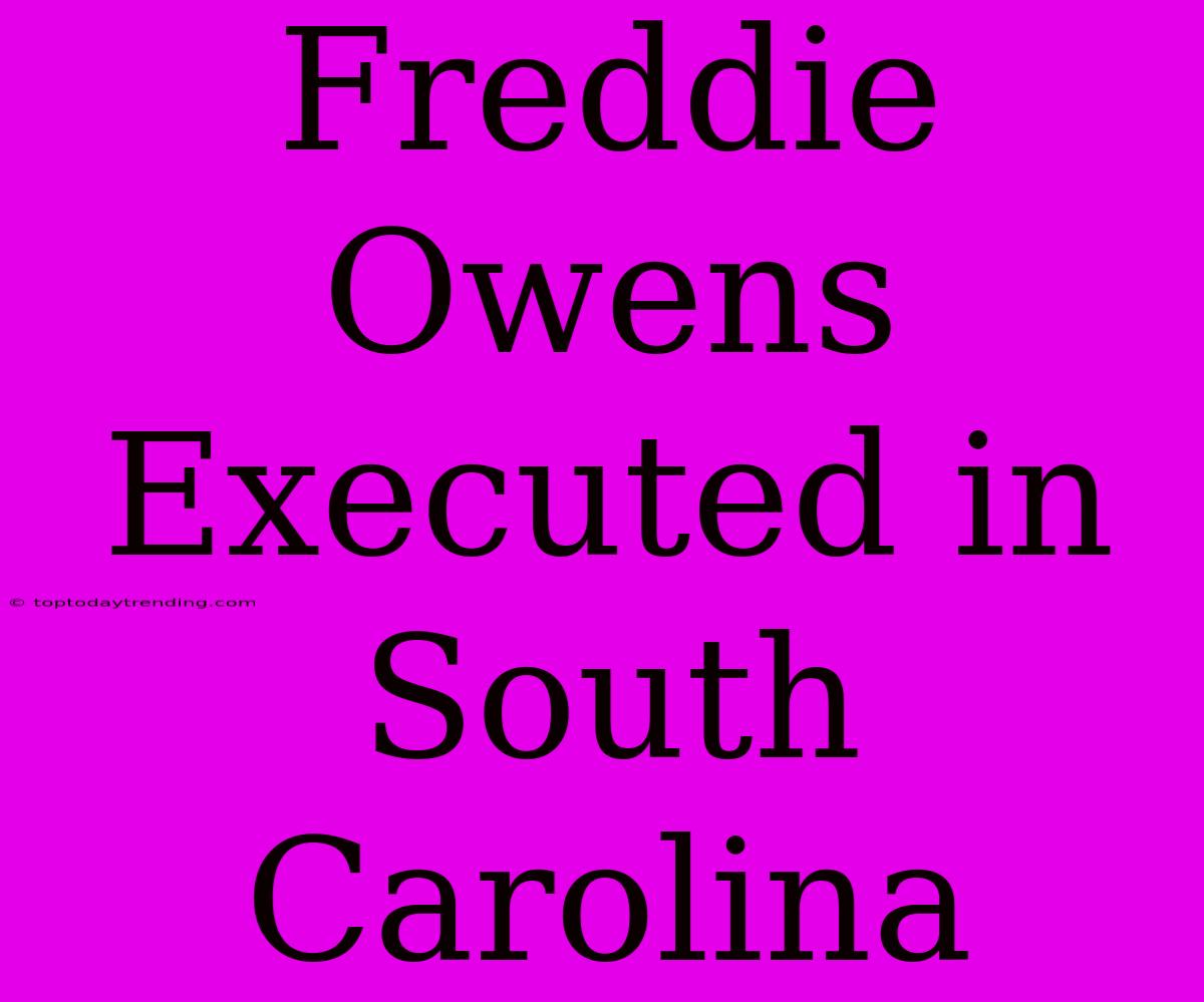 Freddie Owens Executed In South Carolina