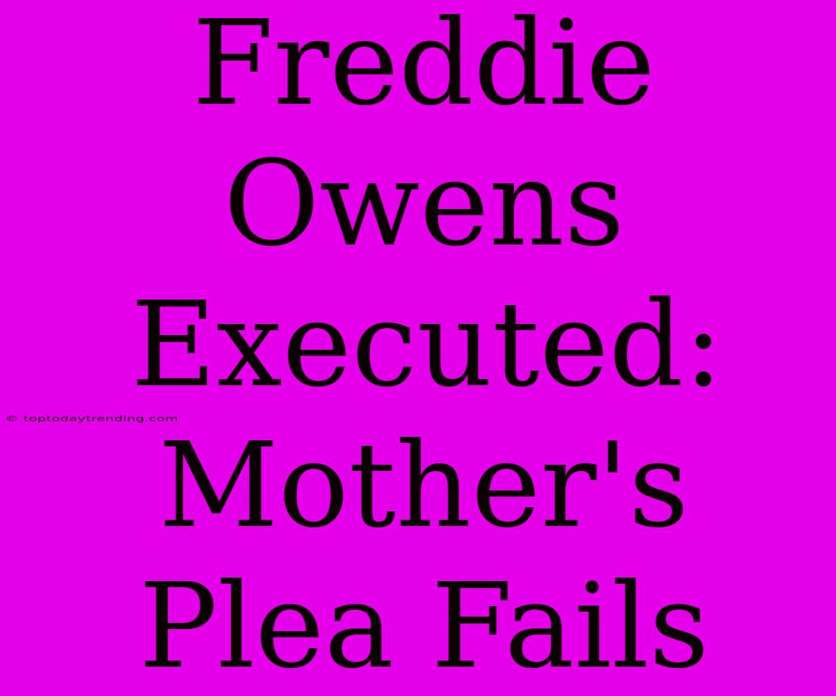 Freddie Owens Executed: Mother's Plea Fails