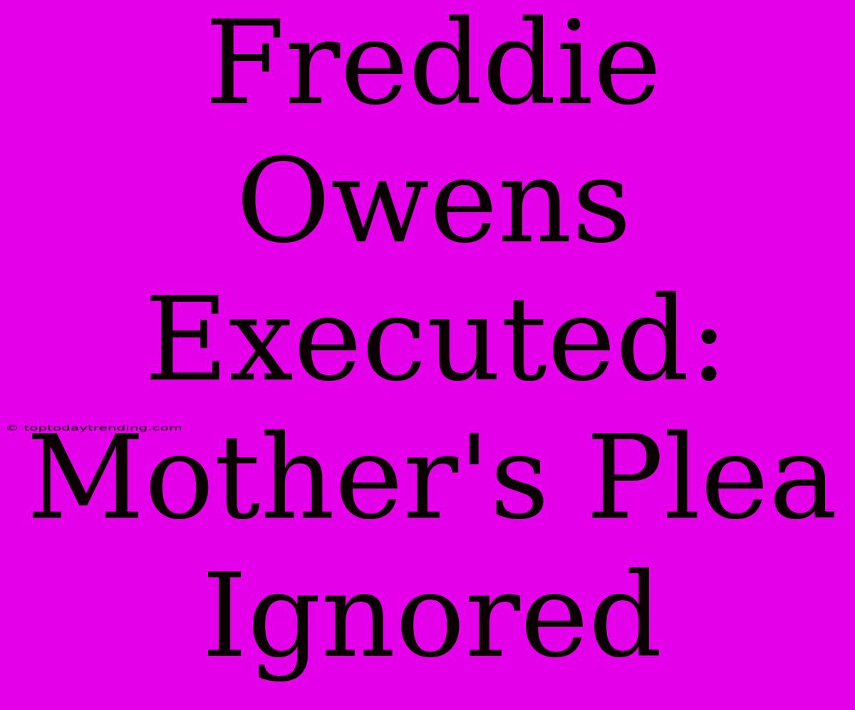 Freddie Owens Executed: Mother's Plea Ignored