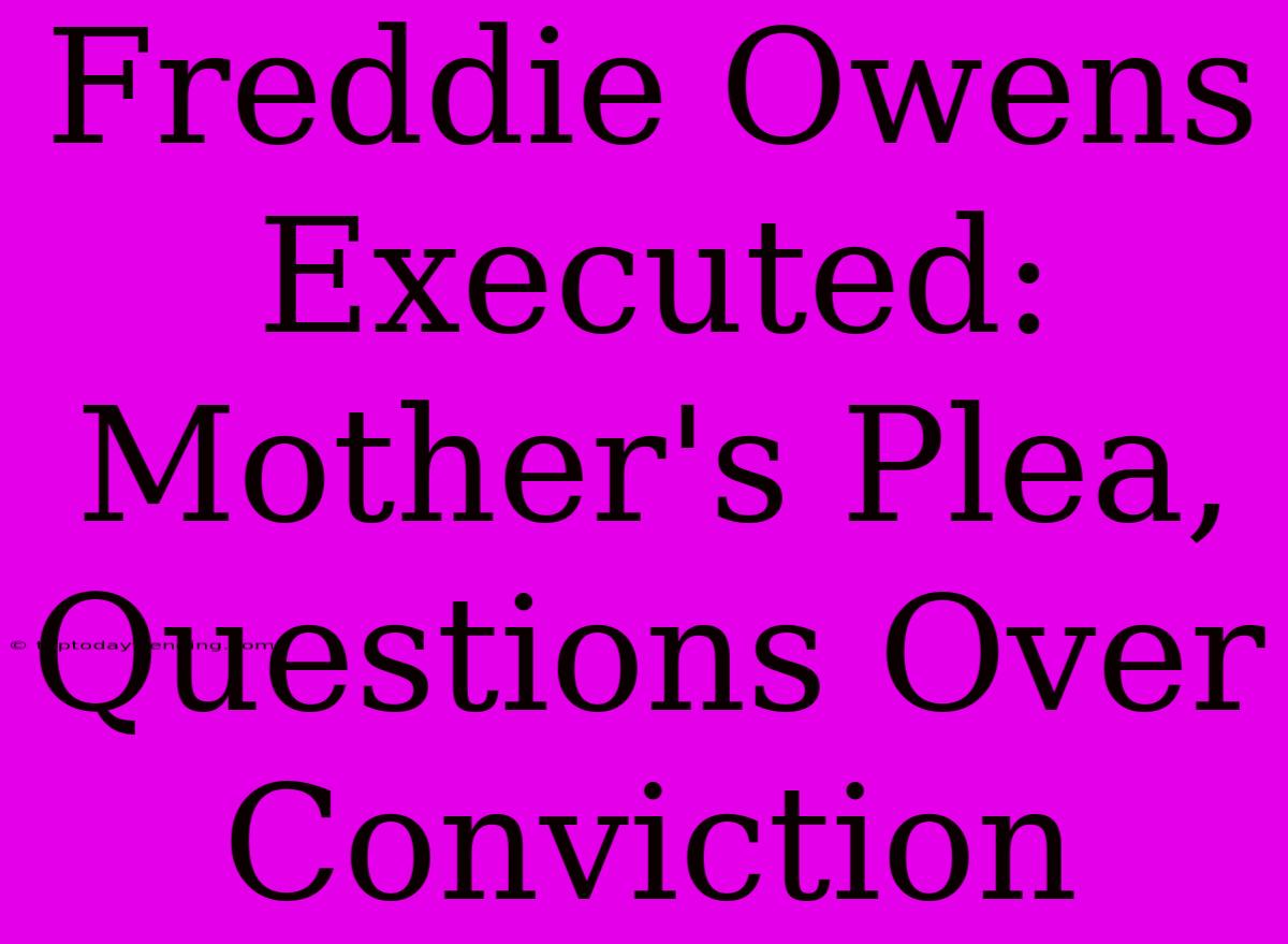 Freddie Owens Executed: Mother's Plea, Questions Over Conviction