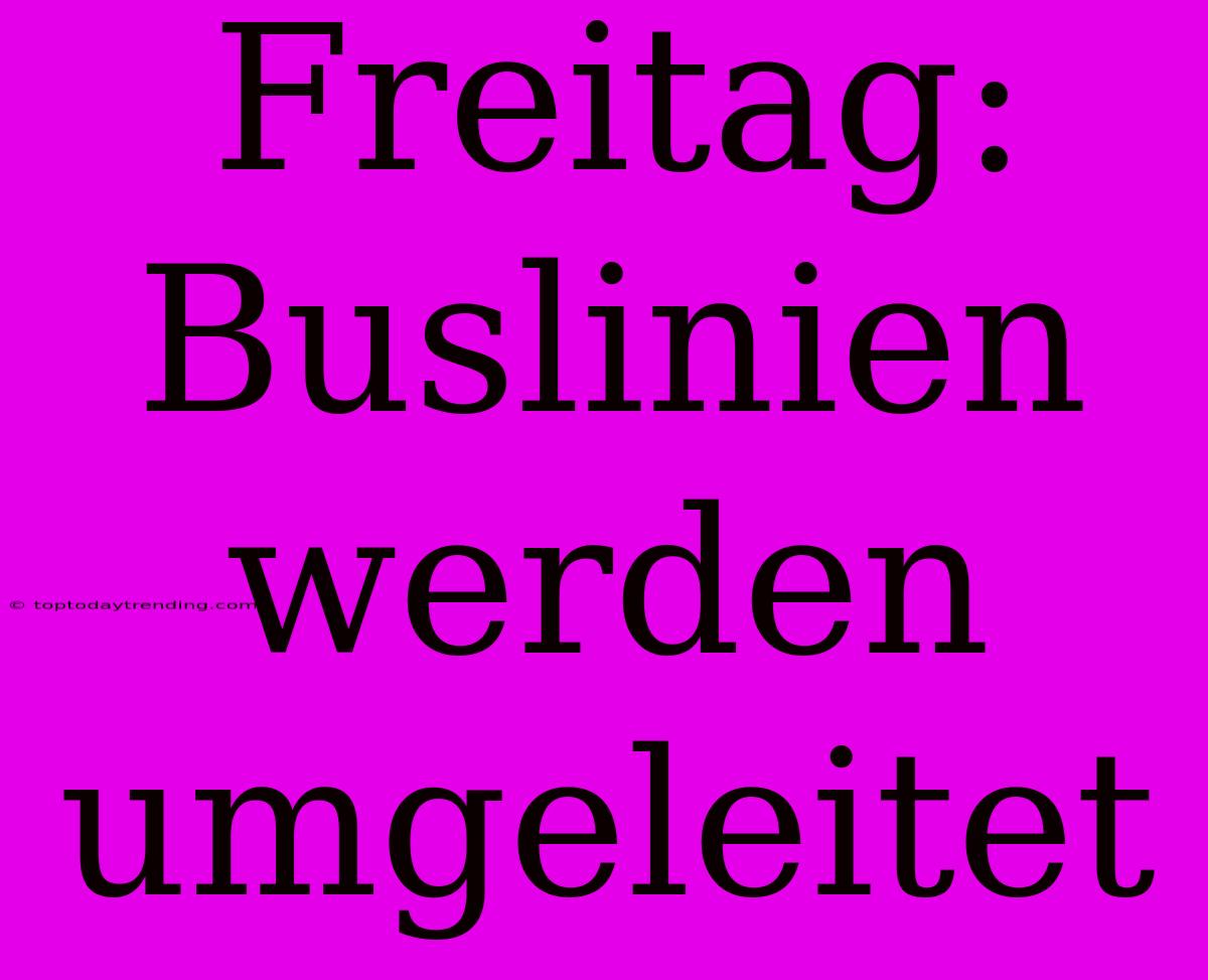 Freitag: Buslinien Werden Umgeleitet