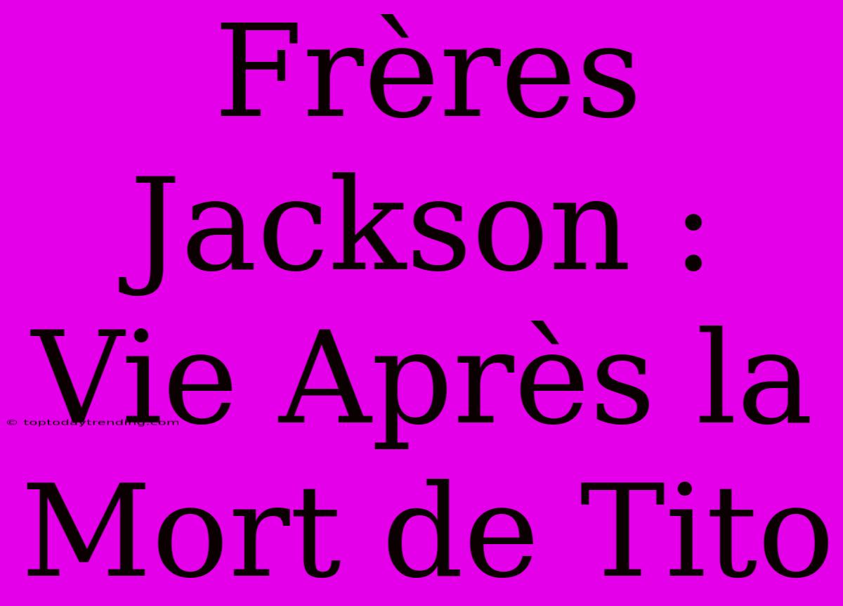 Frères Jackson : Vie Après La Mort De Tito