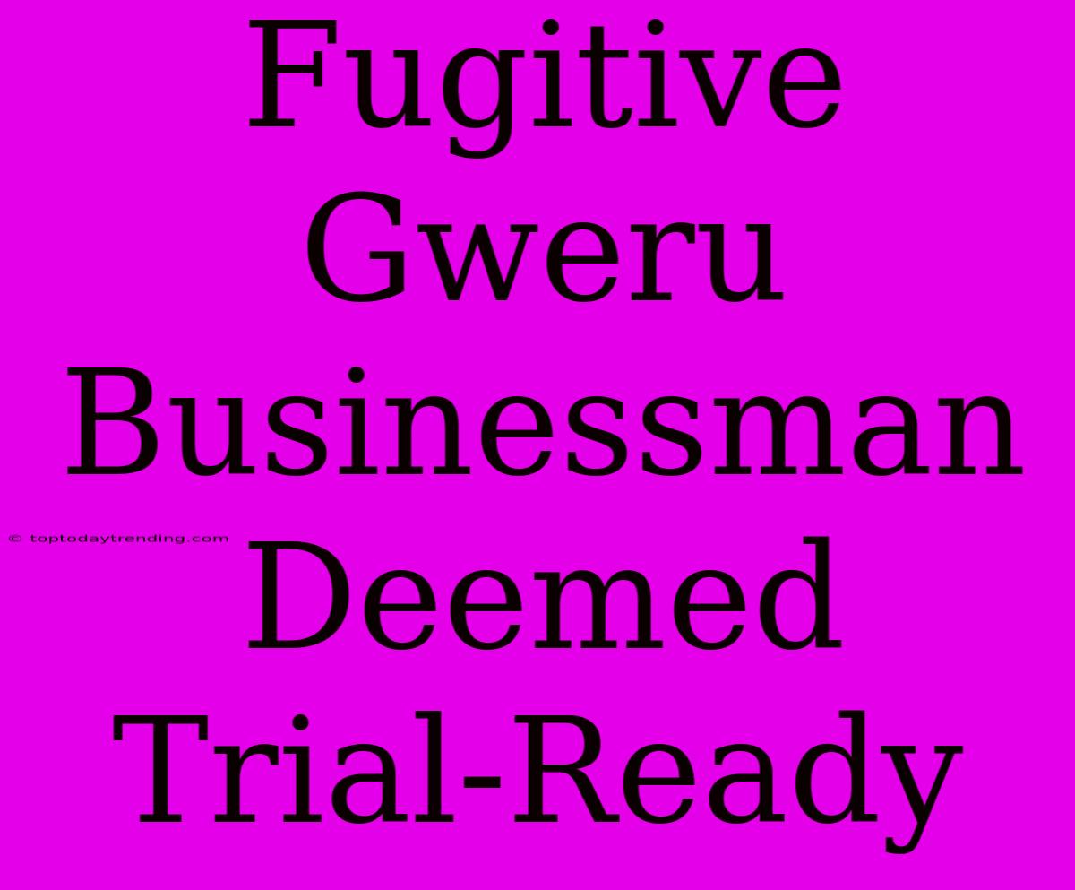 Fugitive Gweru Businessman Deemed Trial-Ready