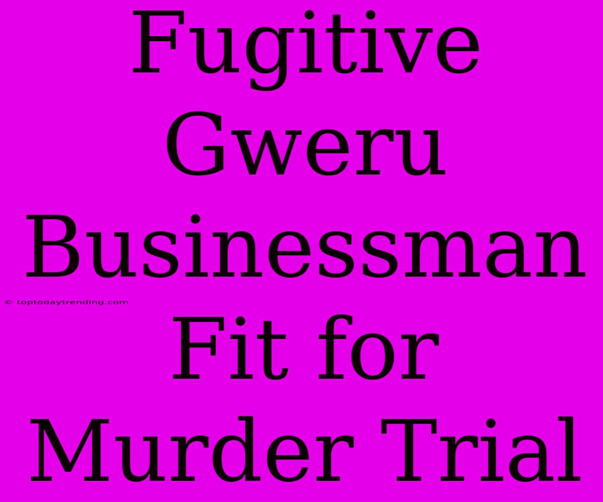 Fugitive Gweru Businessman Fit For Murder Trial