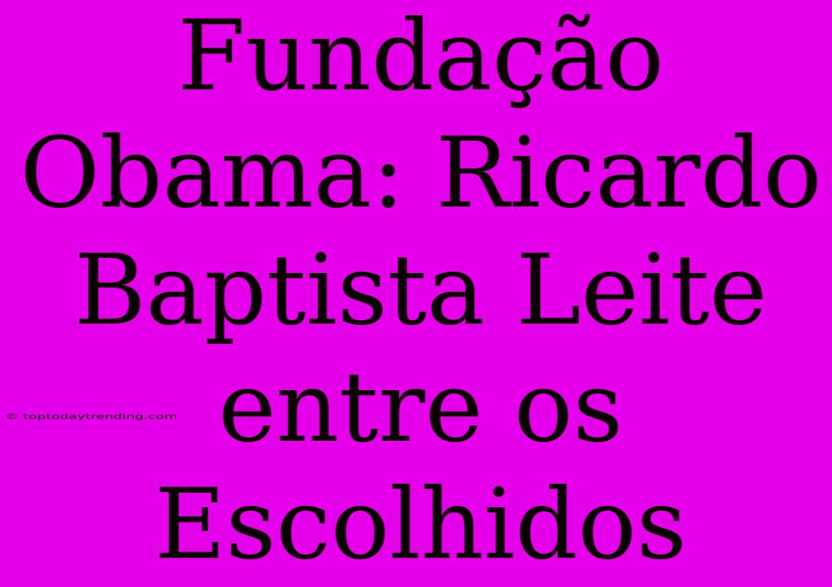 Fundação Obama: Ricardo Baptista Leite Entre Os Escolhidos