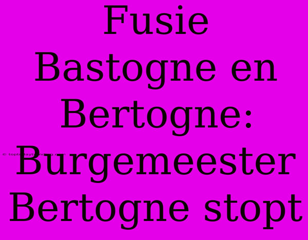 Fusie Bastogne En Bertogne: Burgemeester Bertogne Stopt