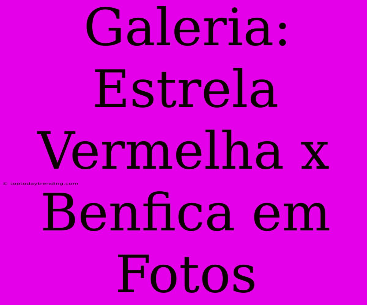 Galeria: Estrela Vermelha X Benfica Em Fotos