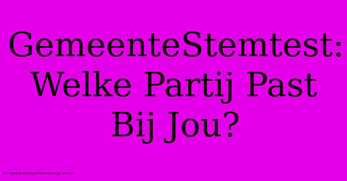 GemeenteStemtest: Welke Partij Past Bij Jou?