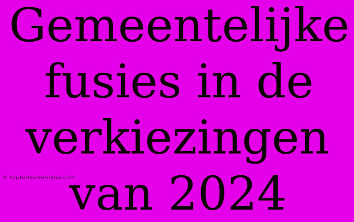 Gemeentelijke Fusies In De Verkiezingen Van 2024