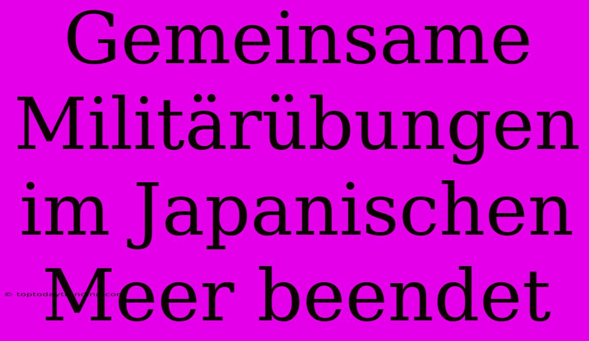 Gemeinsame Militärübungen Im Japanischen Meer Beendet