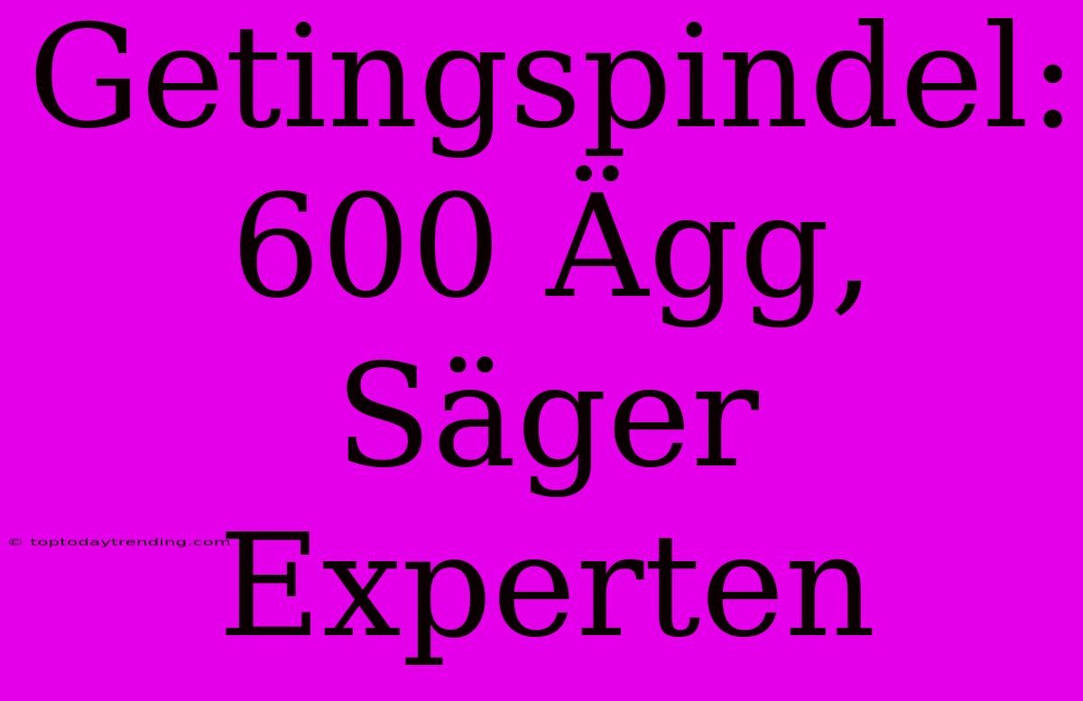 Getingspindel: 600 Ägg, Säger Experten