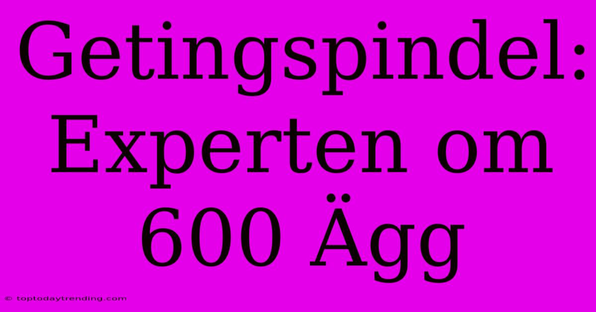 Getingspindel: Experten Om 600 Ägg