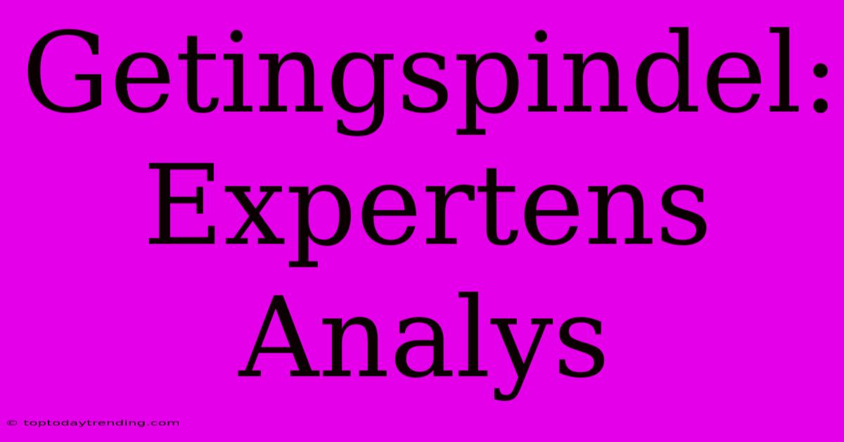 Getingspindel: Expertens Analys