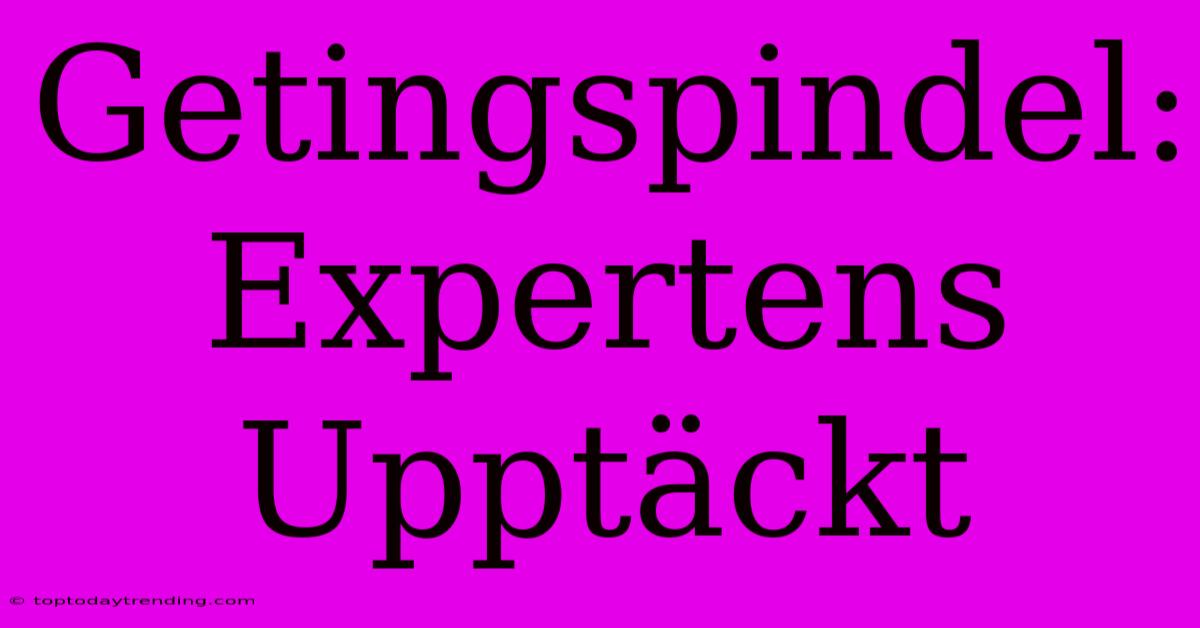 Getingspindel: Expertens Upptäckt