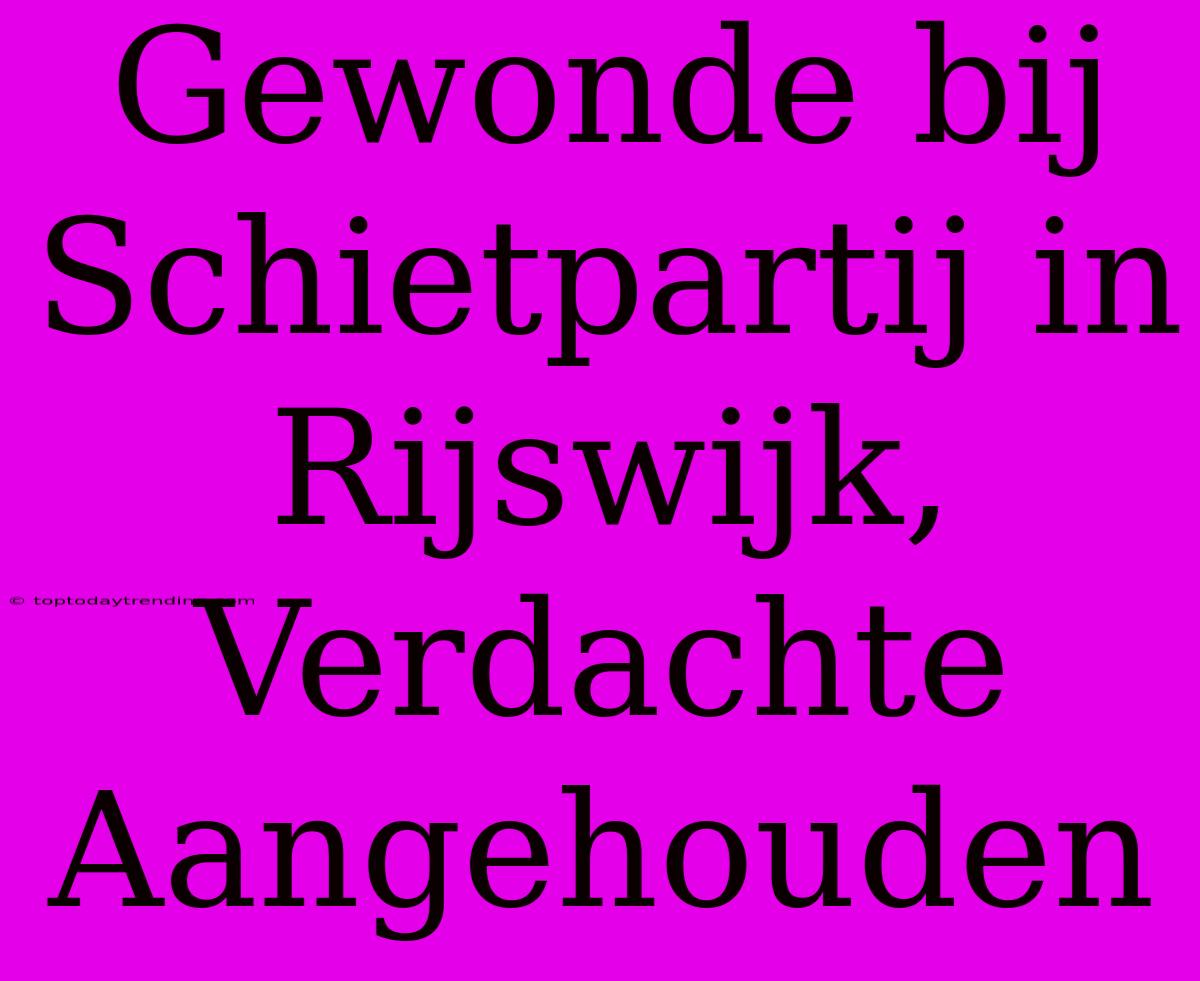 Gewonde Bij Schietpartij In Rijswijk, Verdachte Aangehouden