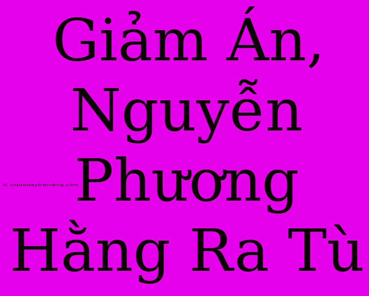 Giảm Án, Nguyễn Phương Hằng Ra Tù