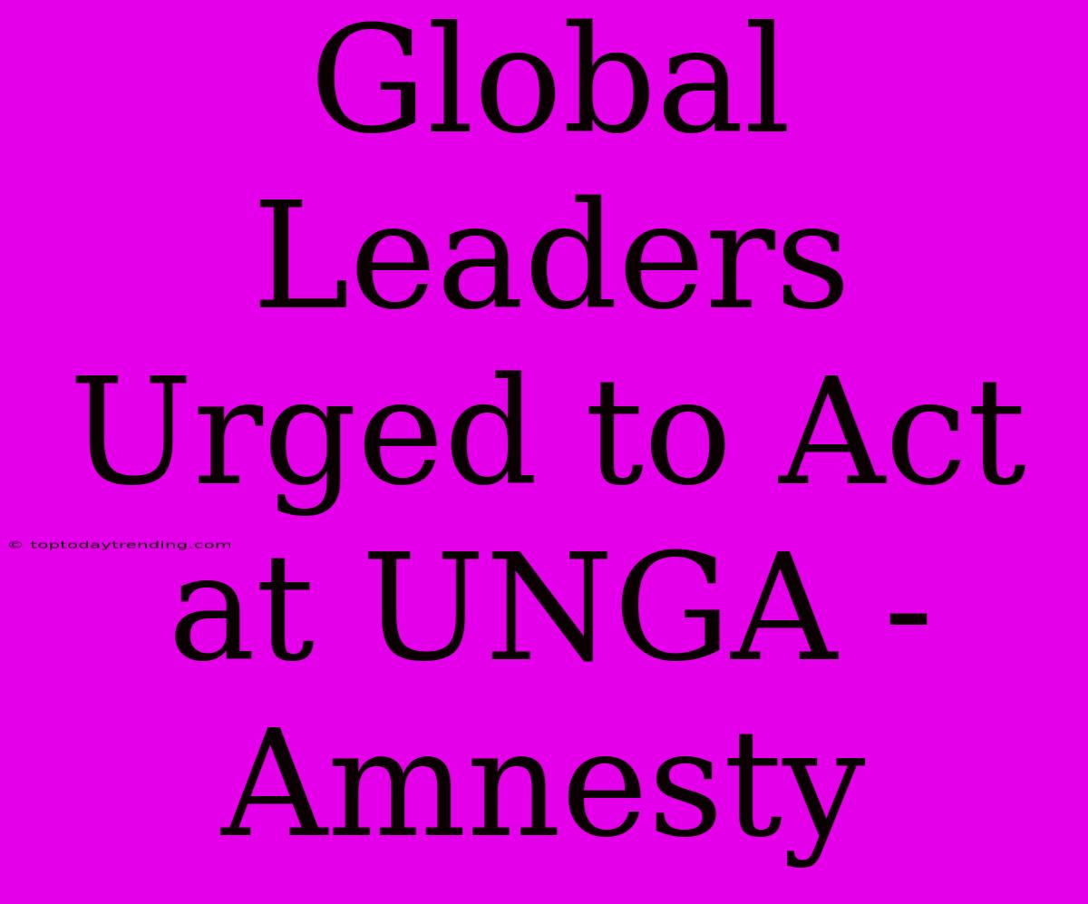 Global Leaders Urged To Act At UNGA - Amnesty