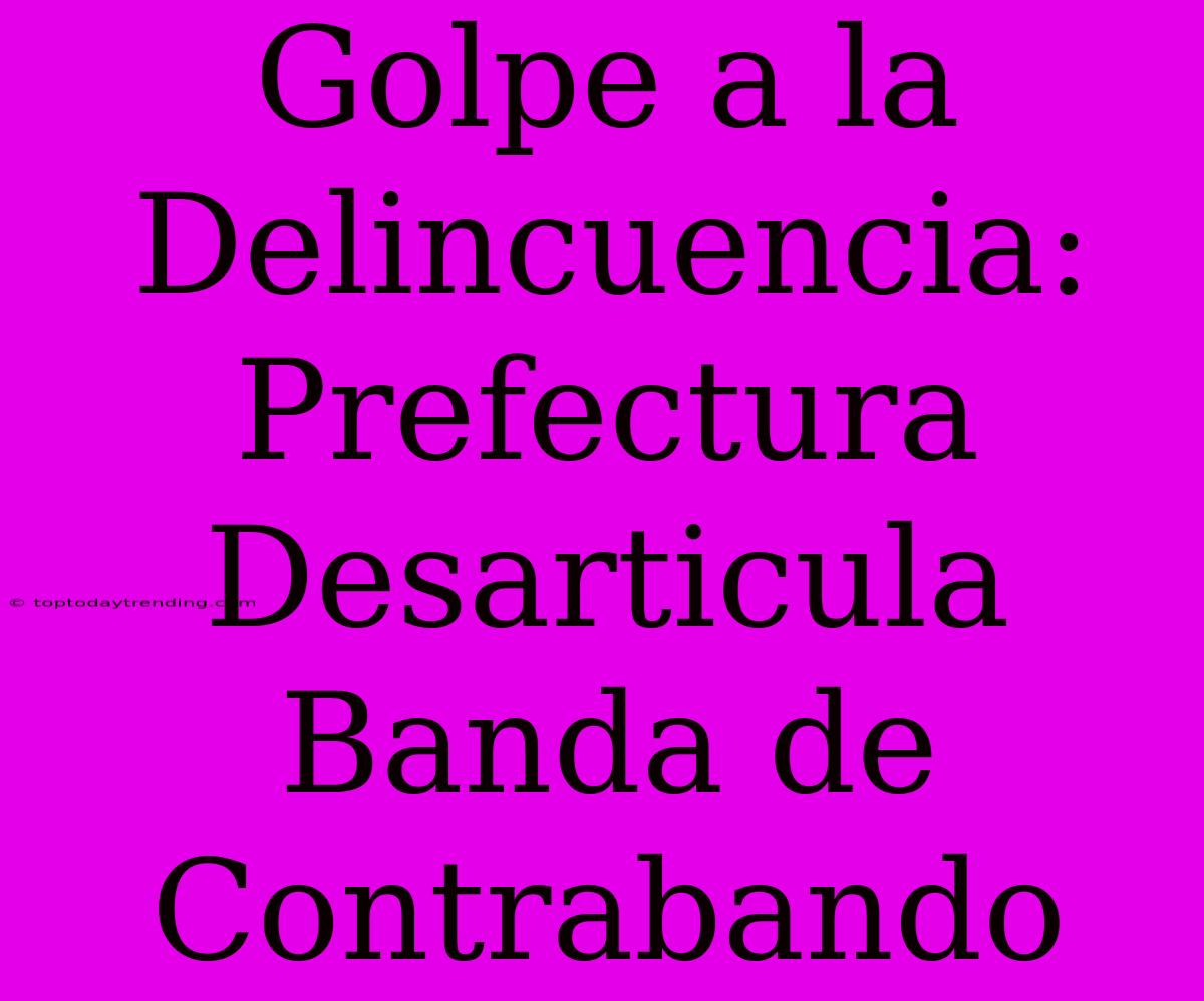 Golpe A La Delincuencia: Prefectura Desarticula Banda De Contrabando