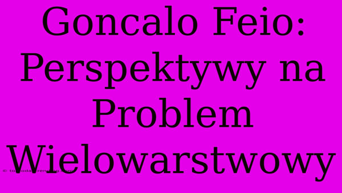 Goncalo Feio: Perspektywy Na Problem Wielowarstwowy