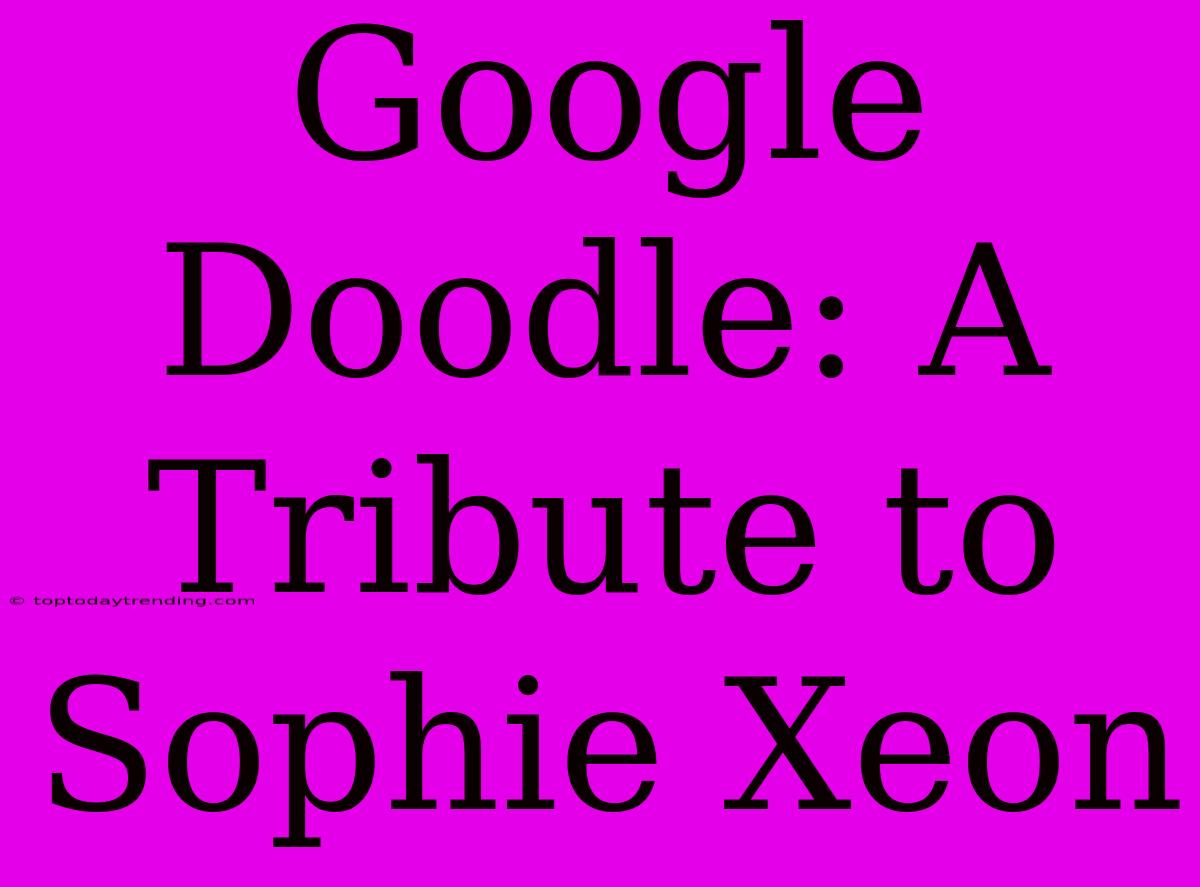 Google Doodle: A Tribute To Sophie Xeon