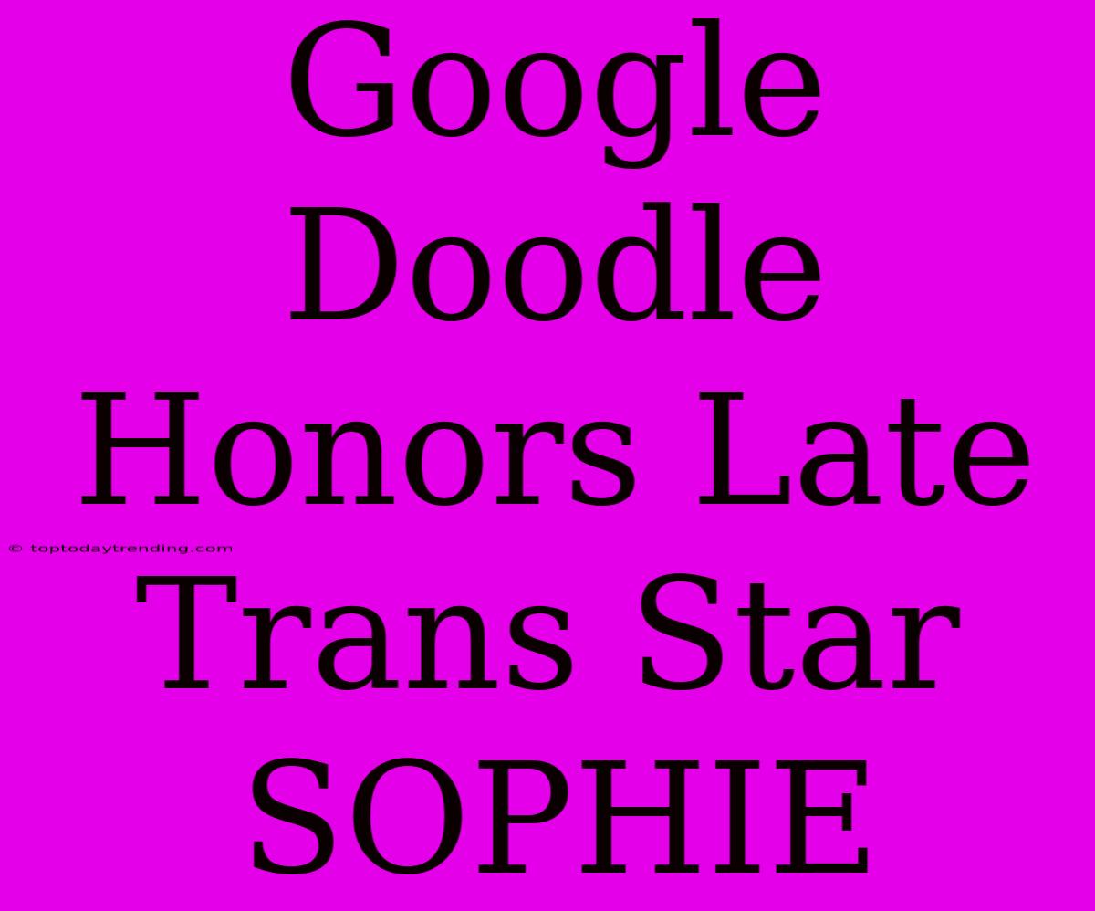 Google Doodle Honors Late Trans Star SOPHIE