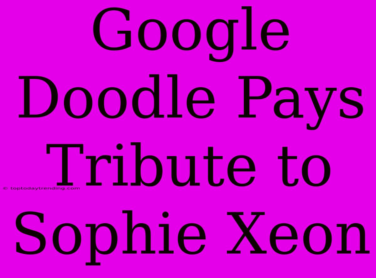 Google Doodle Pays Tribute To Sophie Xeon