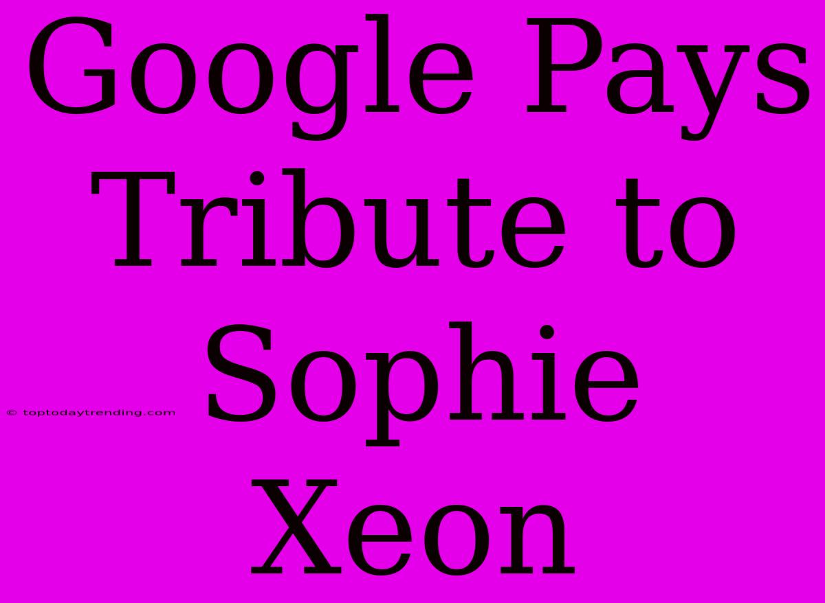 Google Pays Tribute To Sophie Xeon