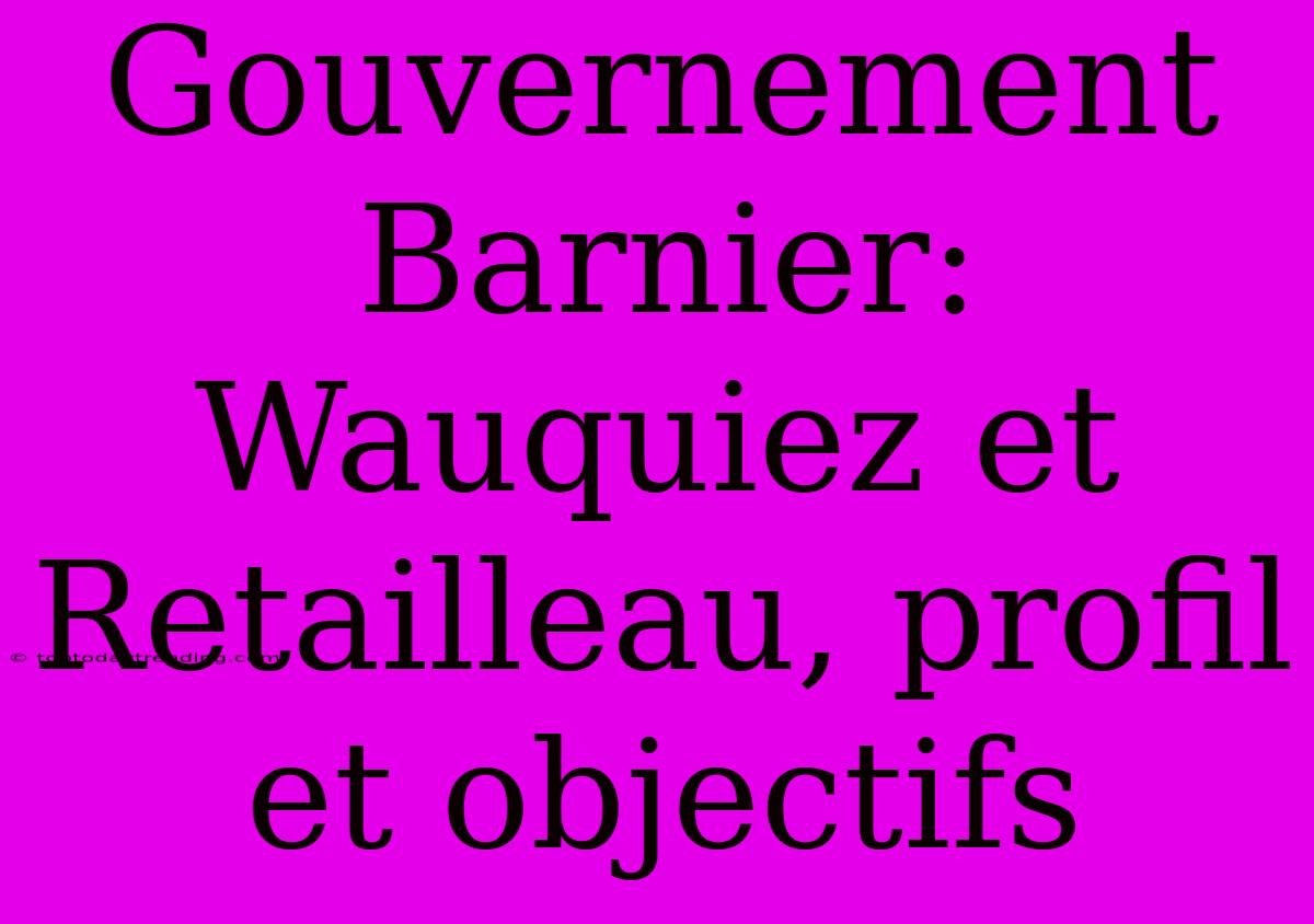 Gouvernement Barnier: Wauquiez Et Retailleau, Profil Et Objectifs