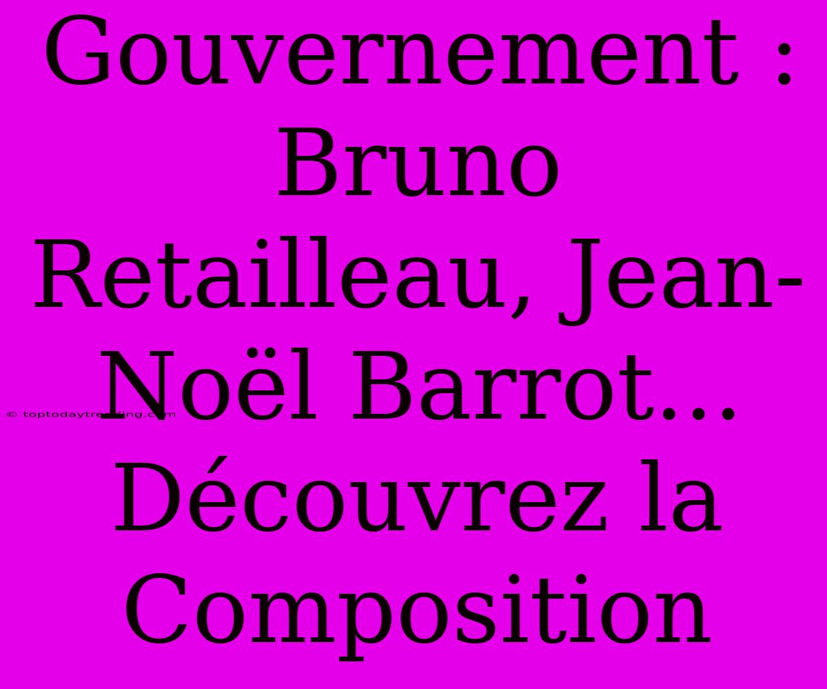 Gouvernement : Bruno Retailleau, Jean-Noël Barrot... Découvrez La Composition