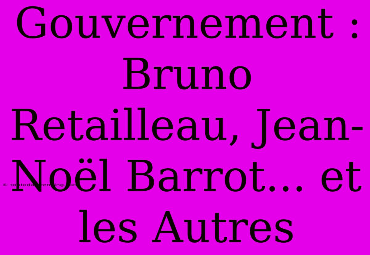 Gouvernement : Bruno Retailleau, Jean-Noël Barrot... Et Les Autres