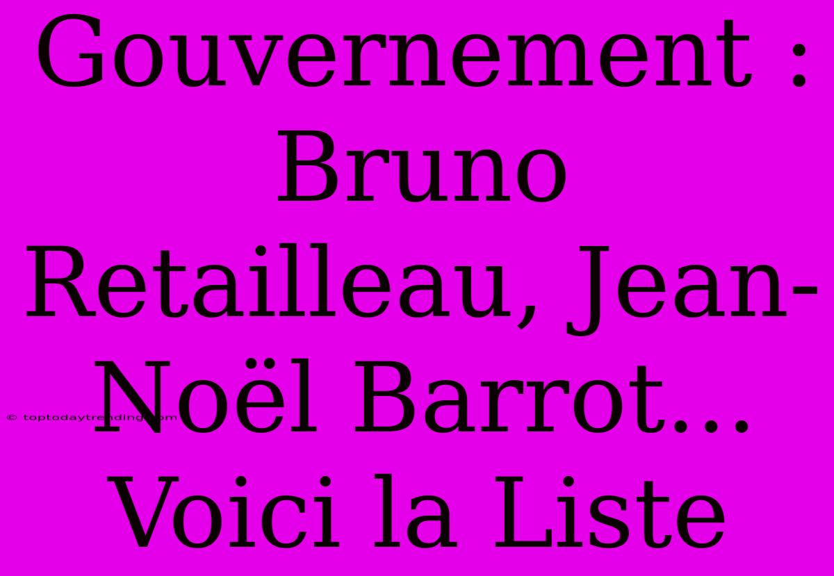 Gouvernement : Bruno Retailleau, Jean-Noël Barrot... Voici La Liste