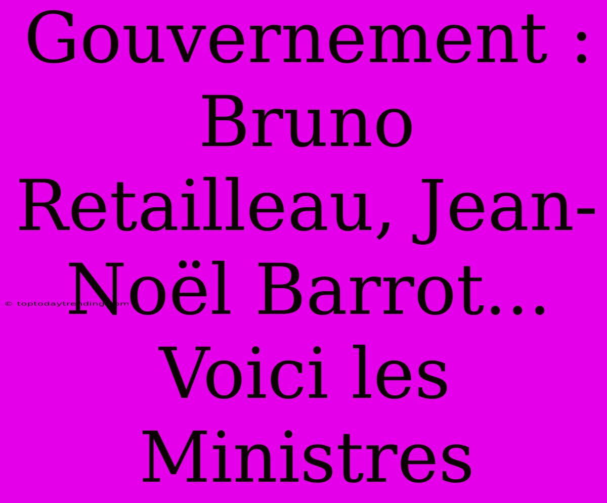 Gouvernement : Bruno Retailleau, Jean-Noël Barrot... Voici Les Ministres