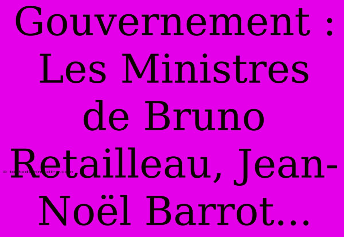 Gouvernement : Les Ministres De Bruno Retailleau, Jean-Noël Barrot...