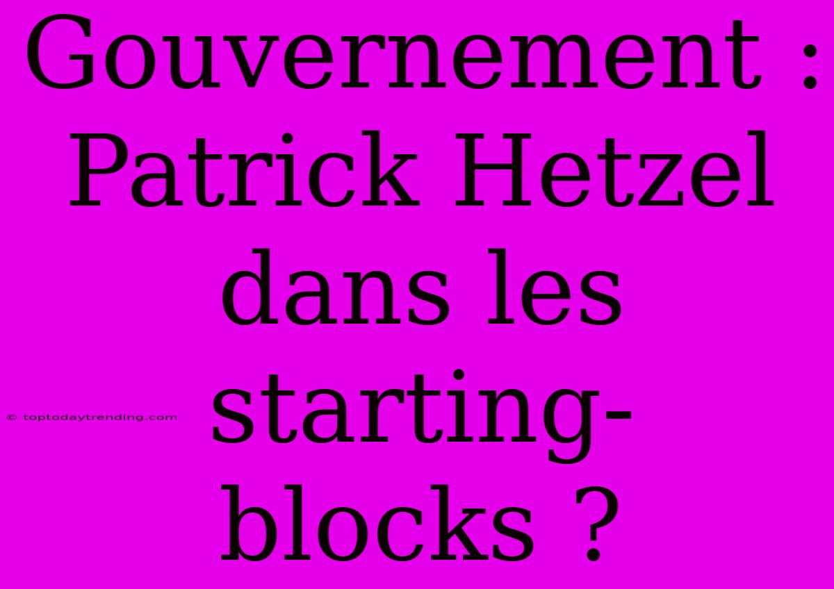 Gouvernement : Patrick Hetzel Dans Les Starting-blocks ?