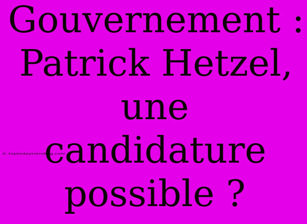 Gouvernement : Patrick Hetzel, Une Candidature Possible ?