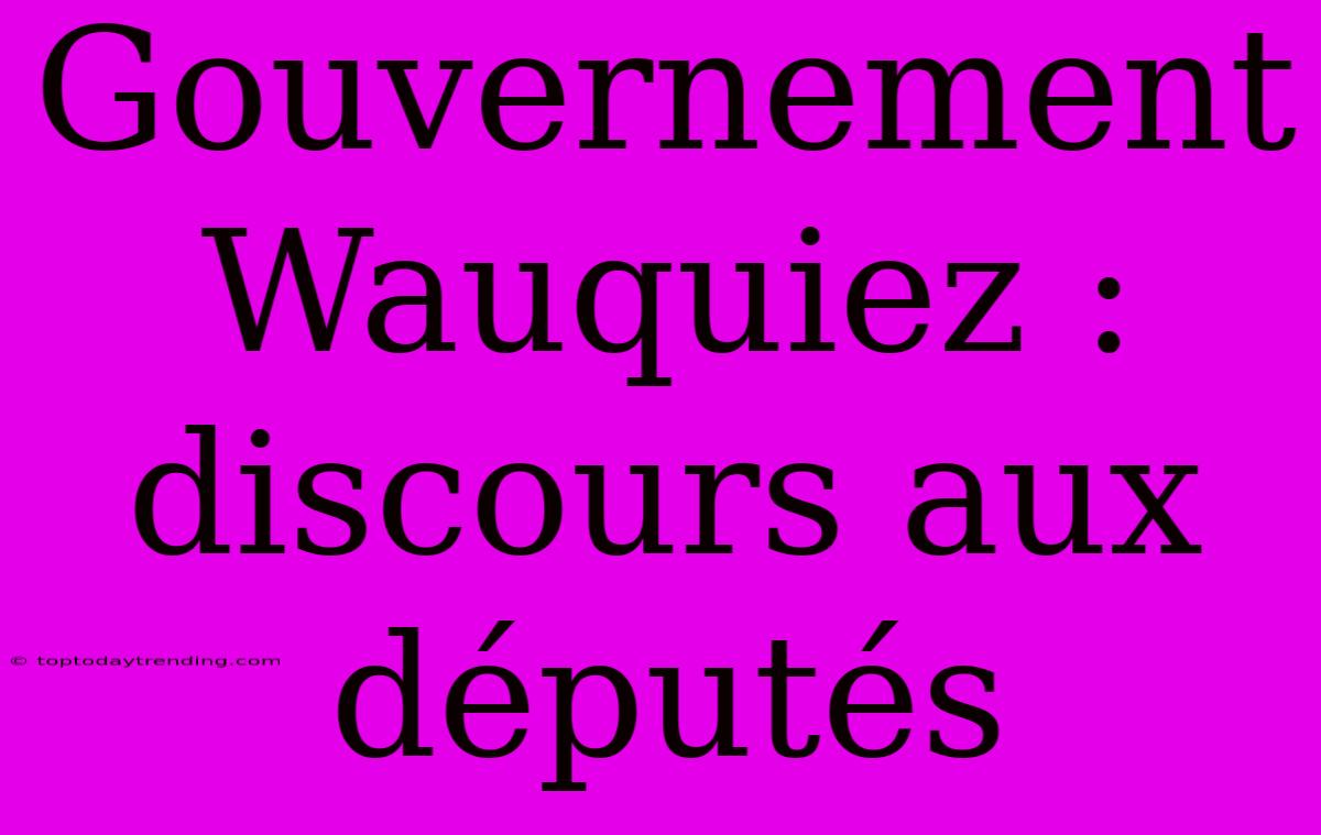 Gouvernement Wauquiez : Discours Aux Députés