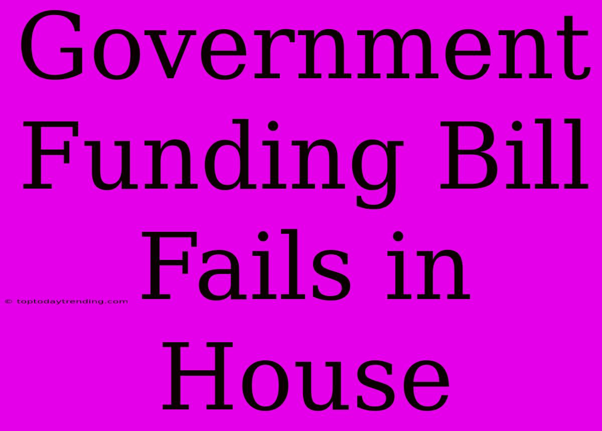 Government Funding Bill Fails In House