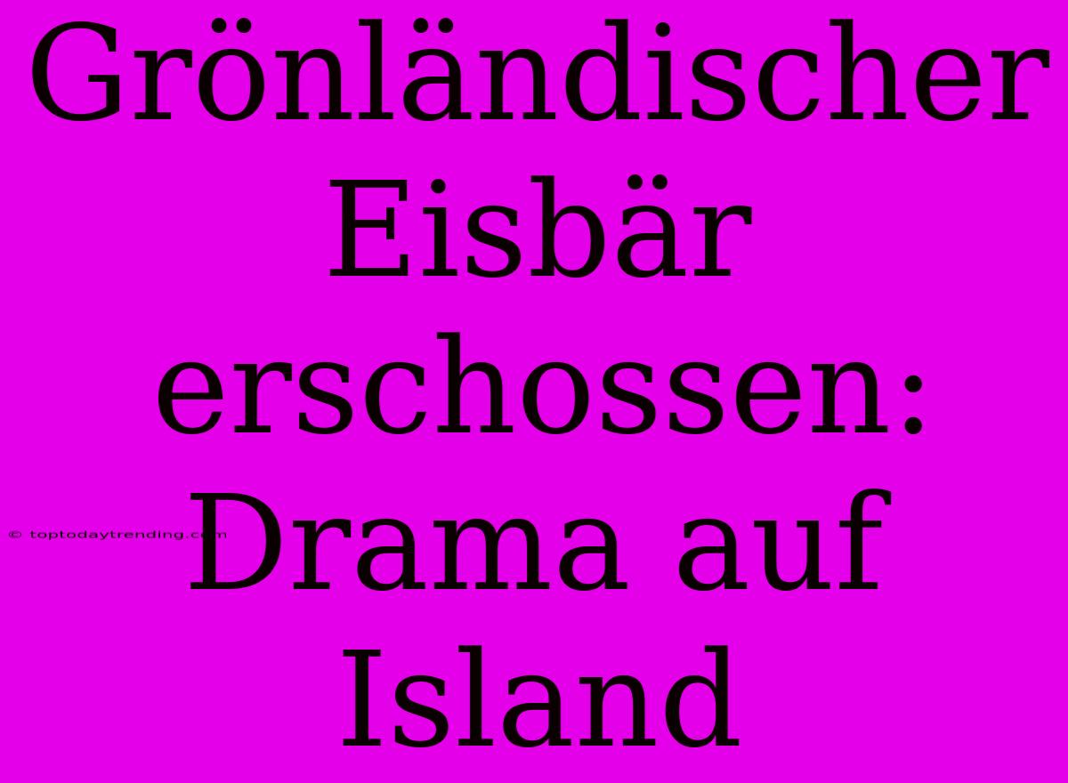 Grönländischer Eisbär Erschossen: Drama Auf Island