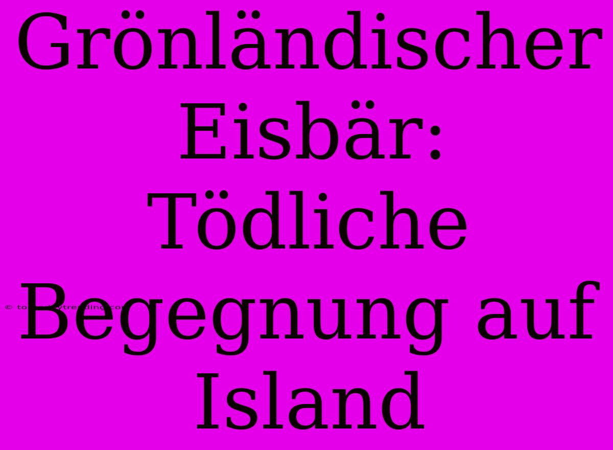 Grönländischer Eisbär: Tödliche Begegnung Auf Island